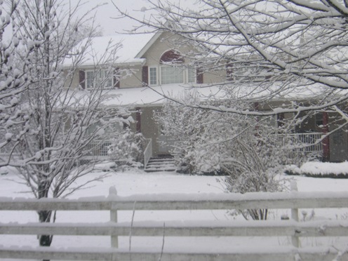 PICT4212.JPG